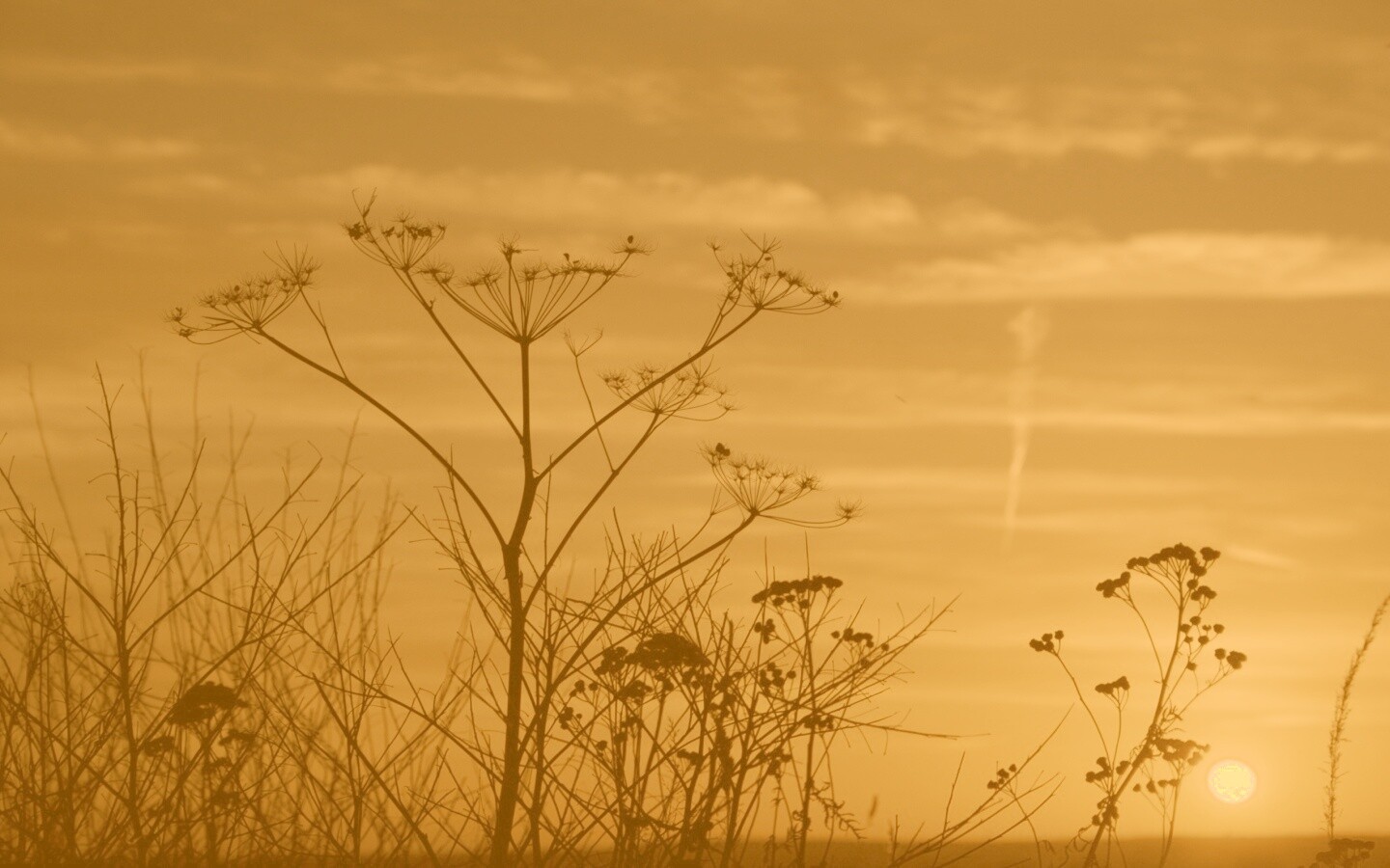 Степной закат обои