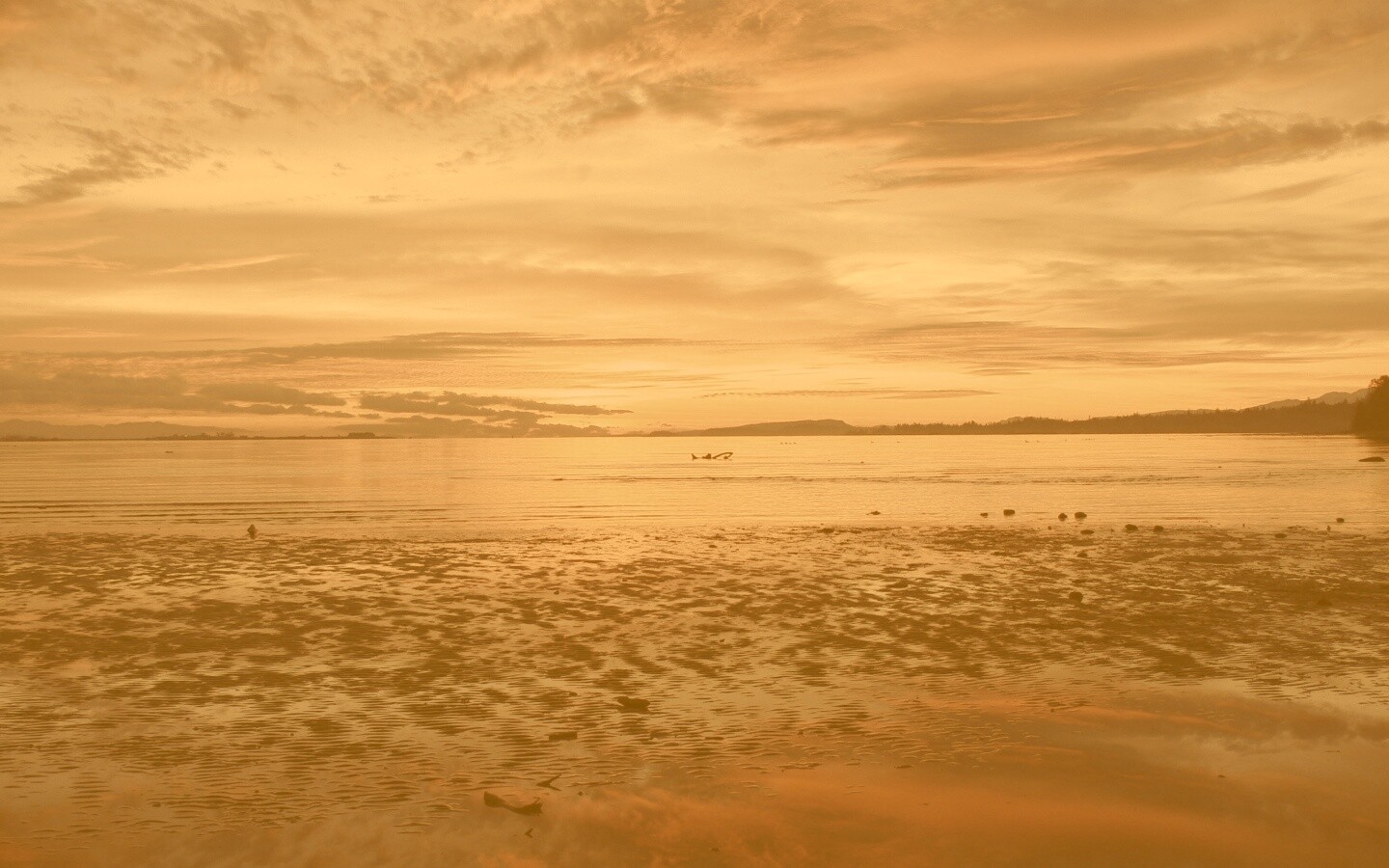 Прекрасный рассвет обои