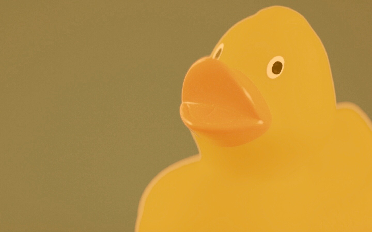 Резиновый утенок обои