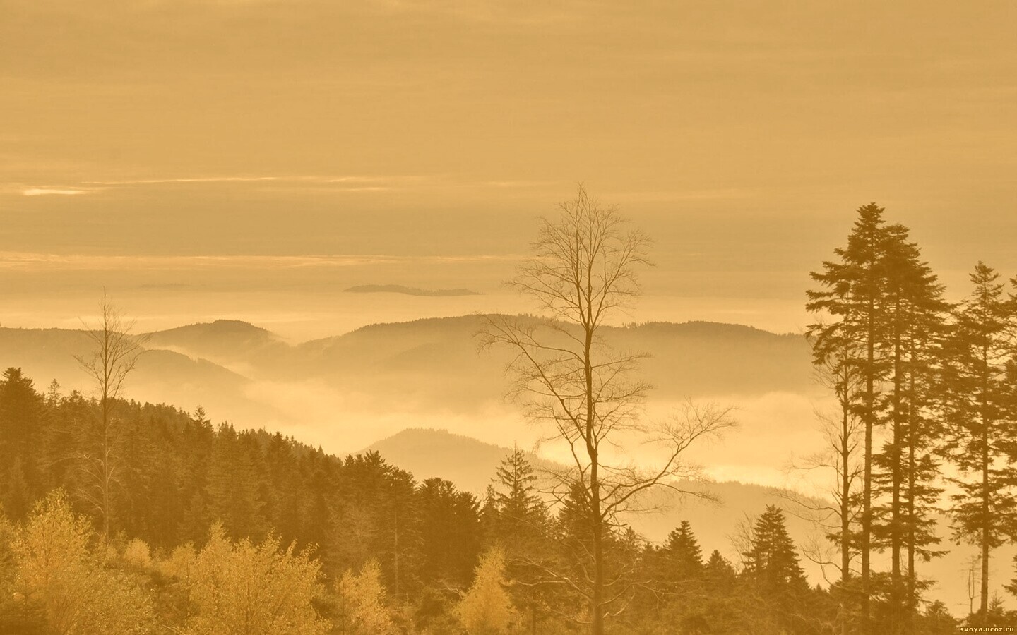 Холмы в тумане обои