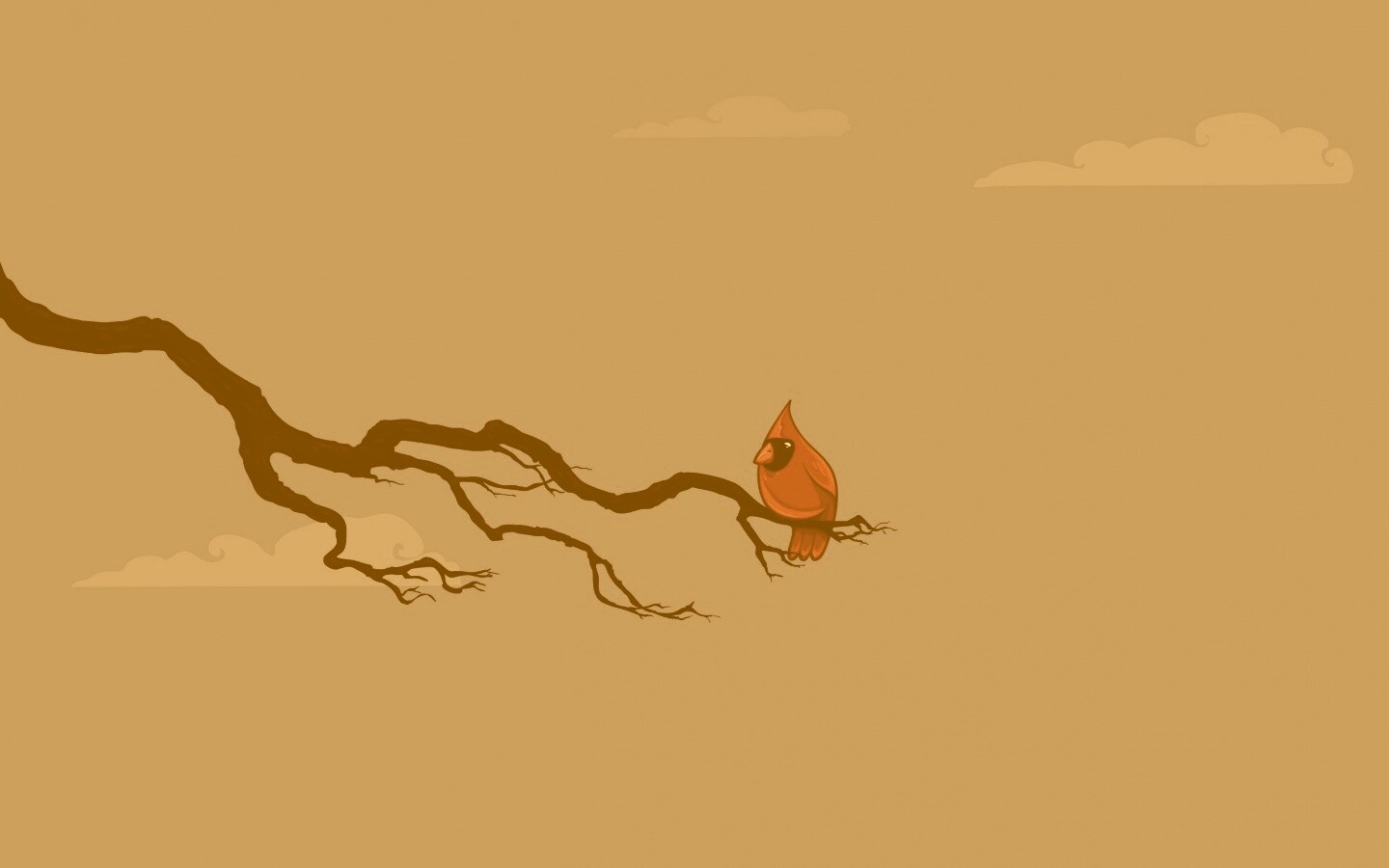 Красная птица на ветке обои