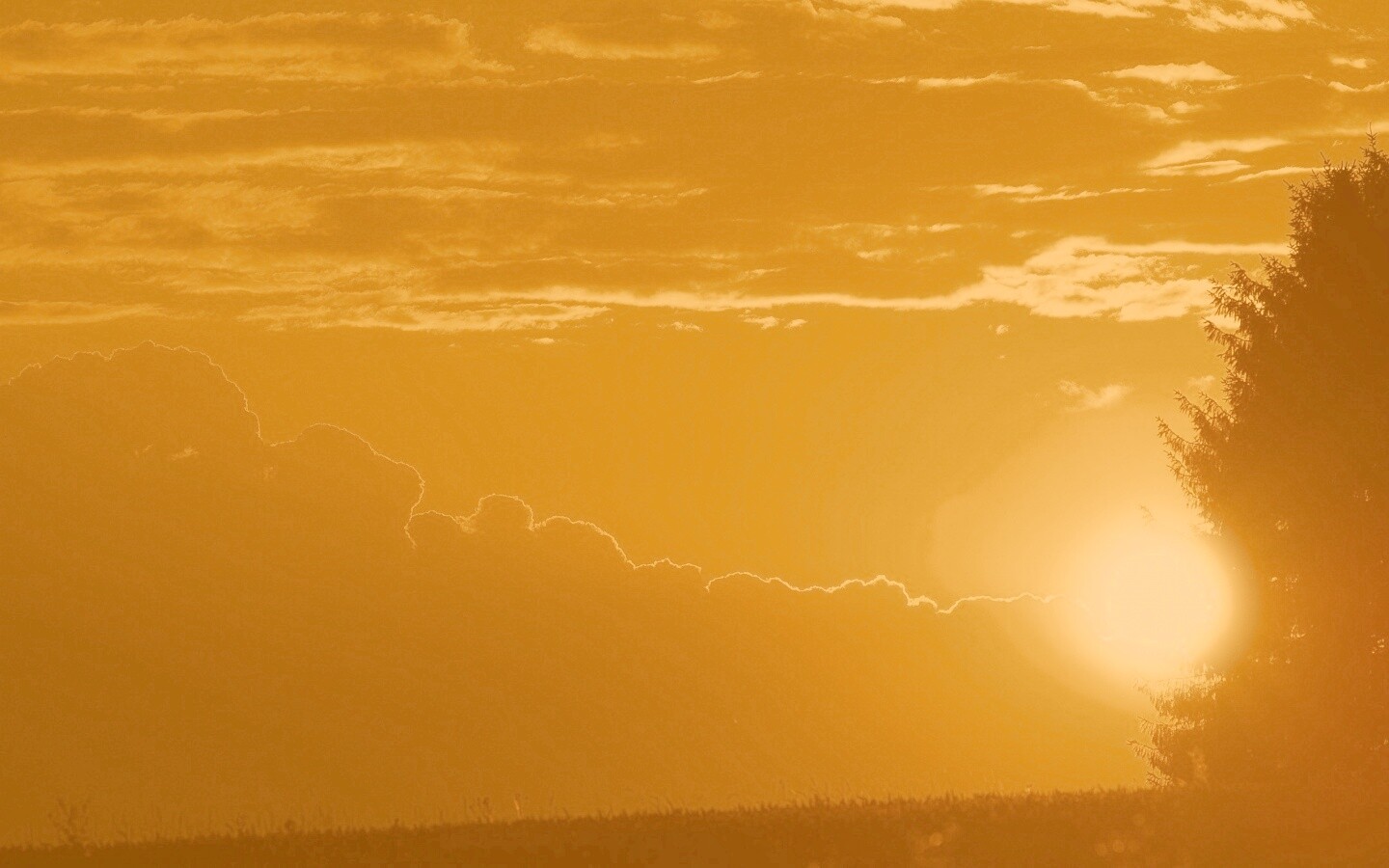 Теплый закат над полем обои