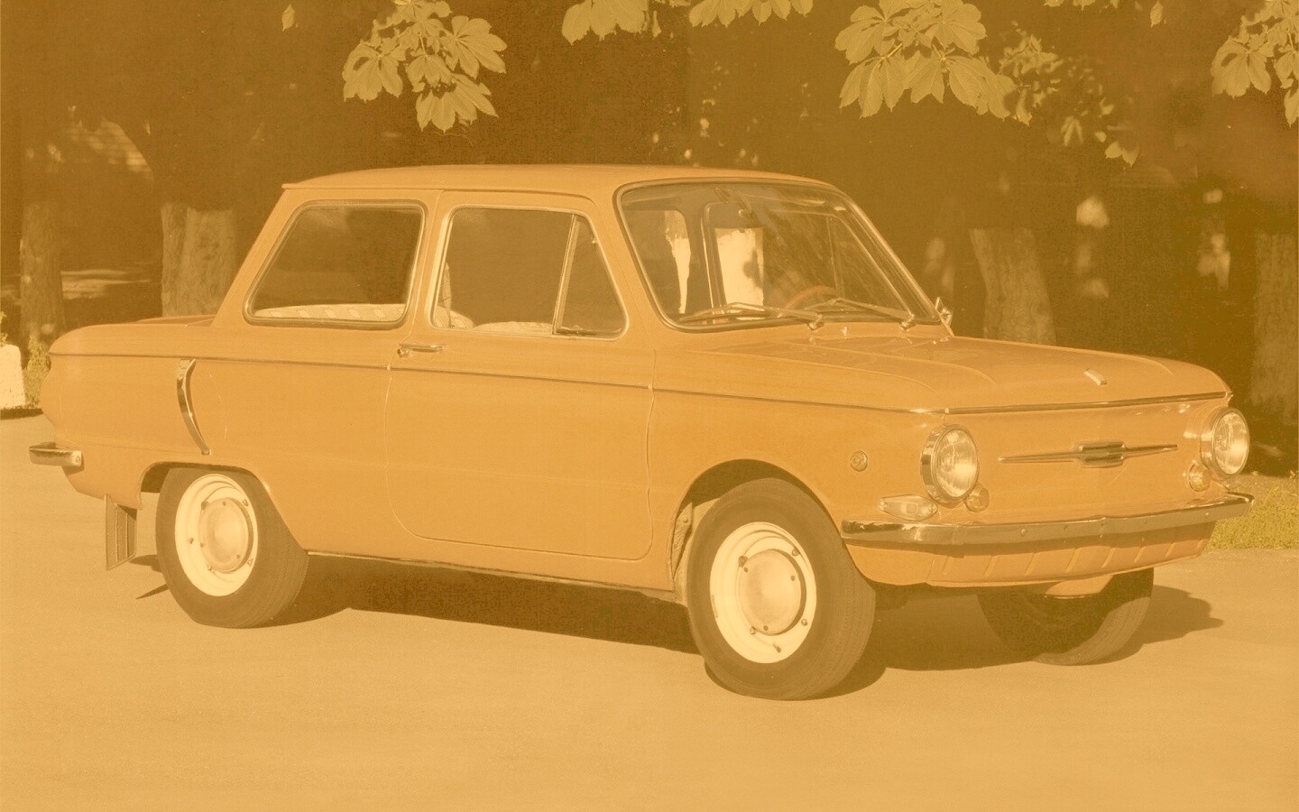 Оранжевый ушастый запорожец обои