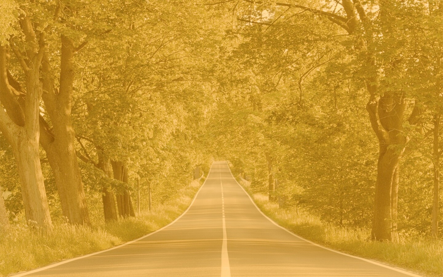 Под горку и в лес обои