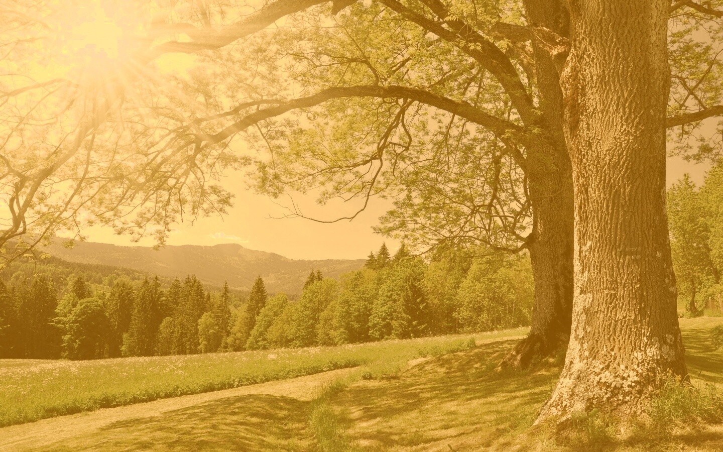 Лето в деревне обои