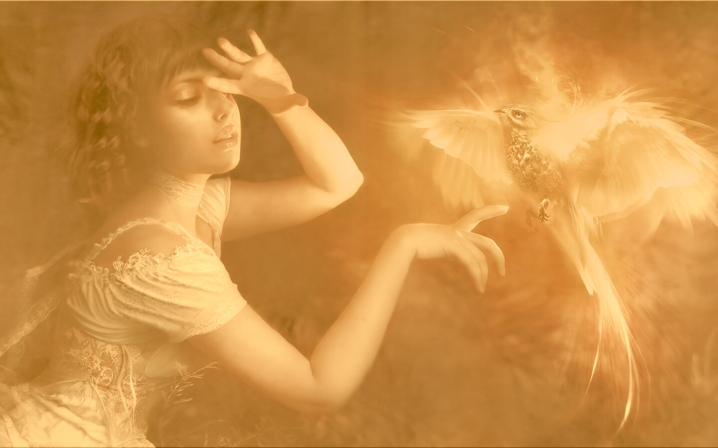 Феникс обои