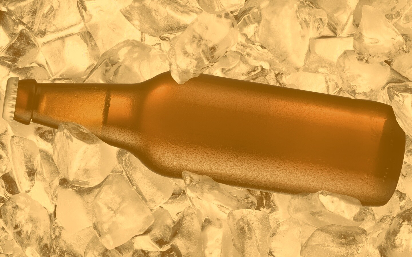 Бутылка пива во льду обои