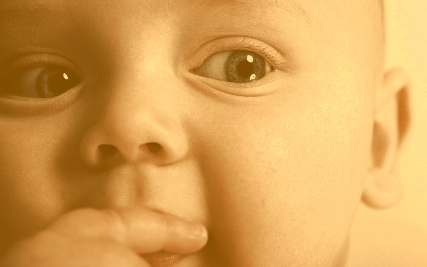 Что-то замышляет... обои