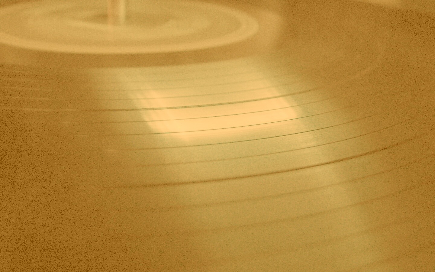 Пластинка обои