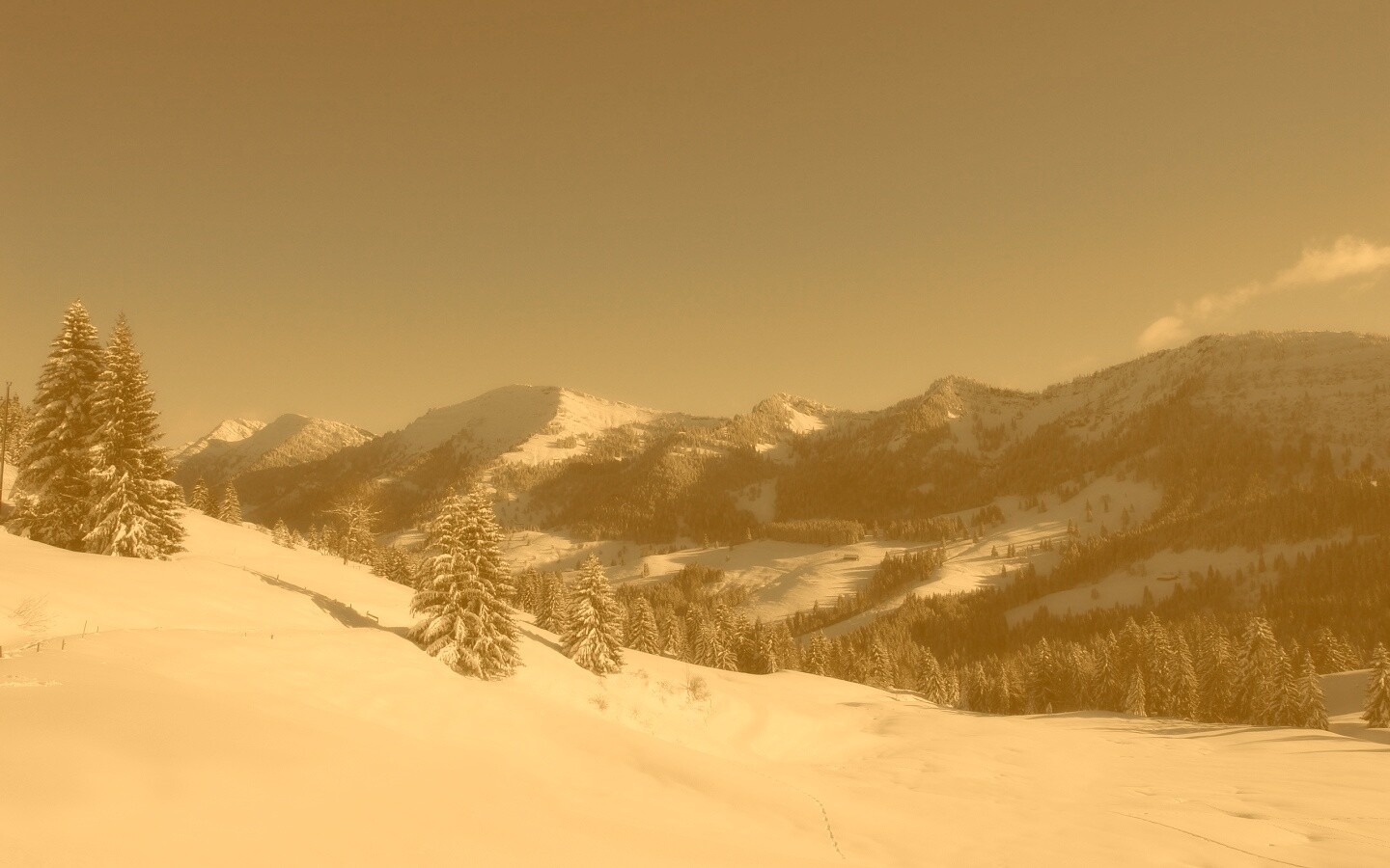 Лес в горах обои