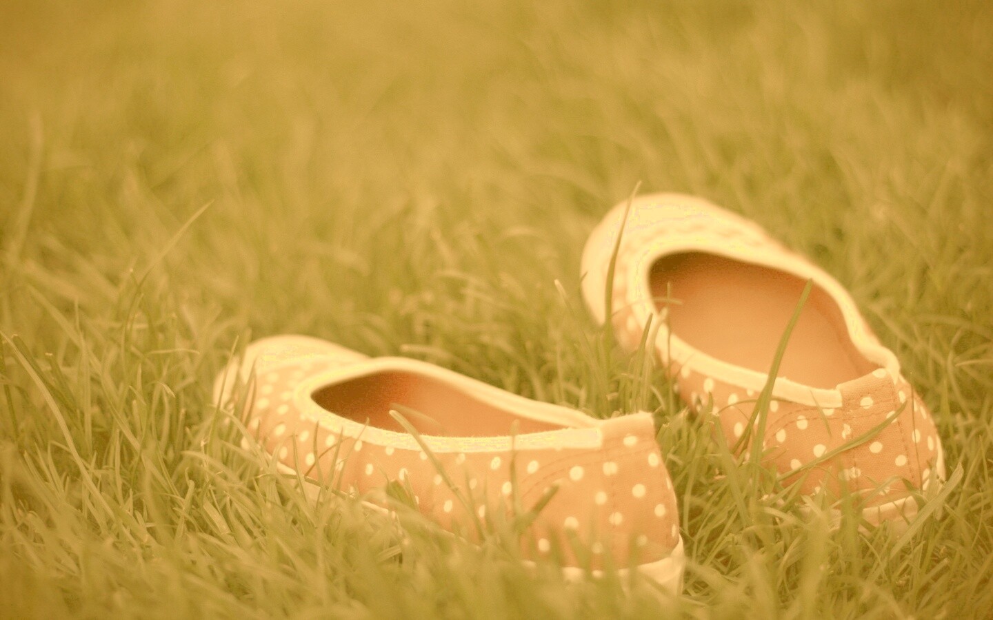 Красные тапки в горошек обои