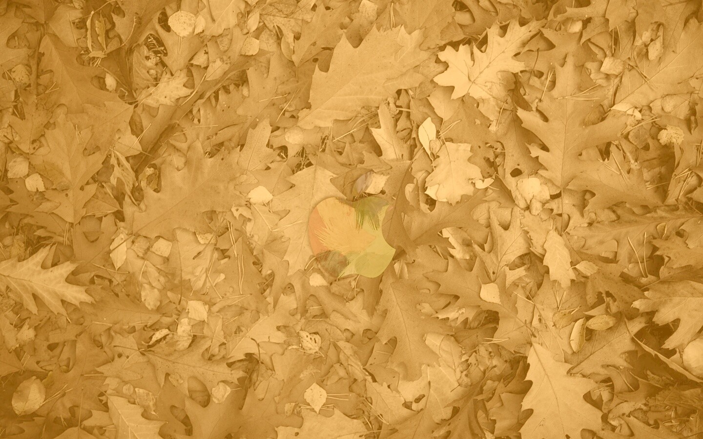 Яблоко в листьях обои