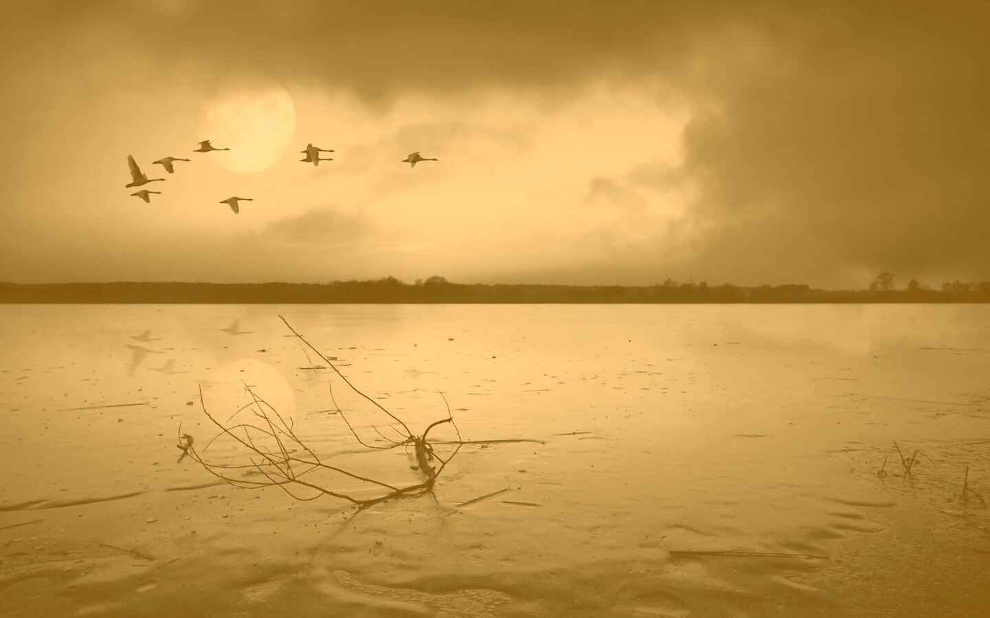 Полет птиц над озером обои