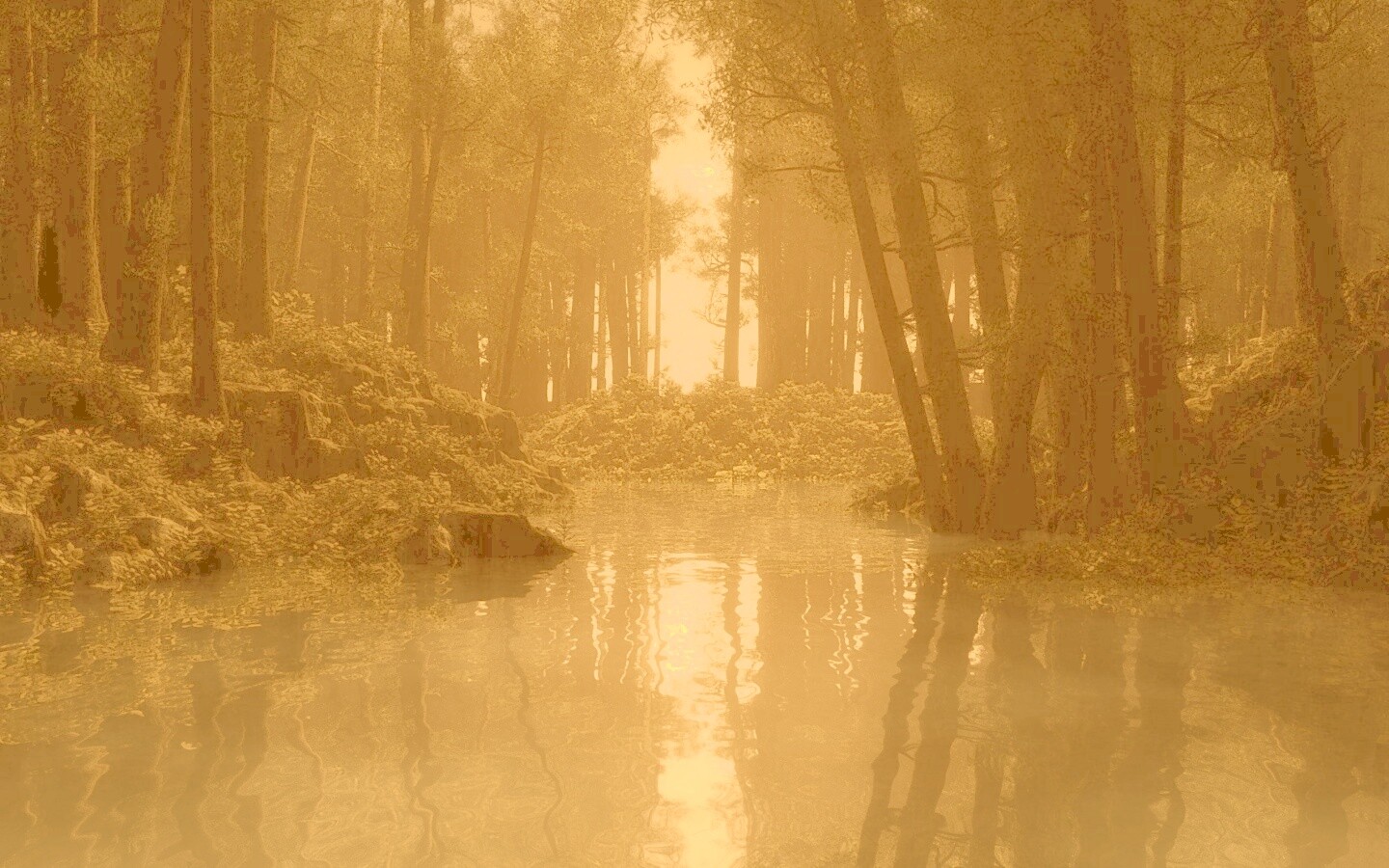 Болото в лесу обои