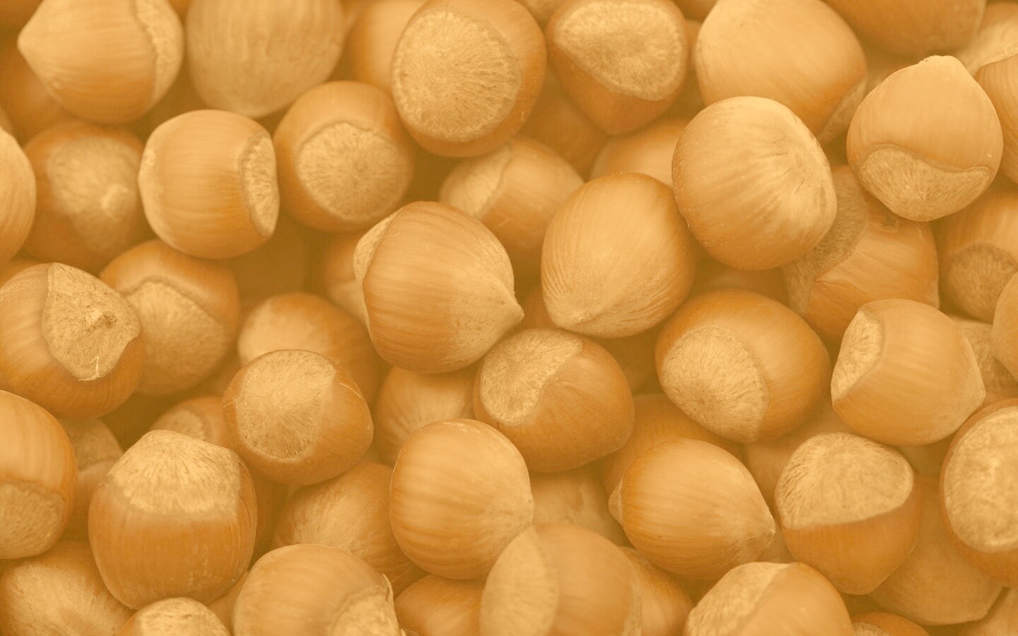 Фундук обои