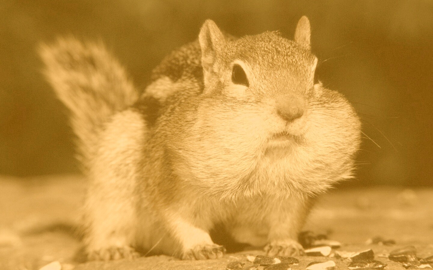 Не жадный, а бережливый обои