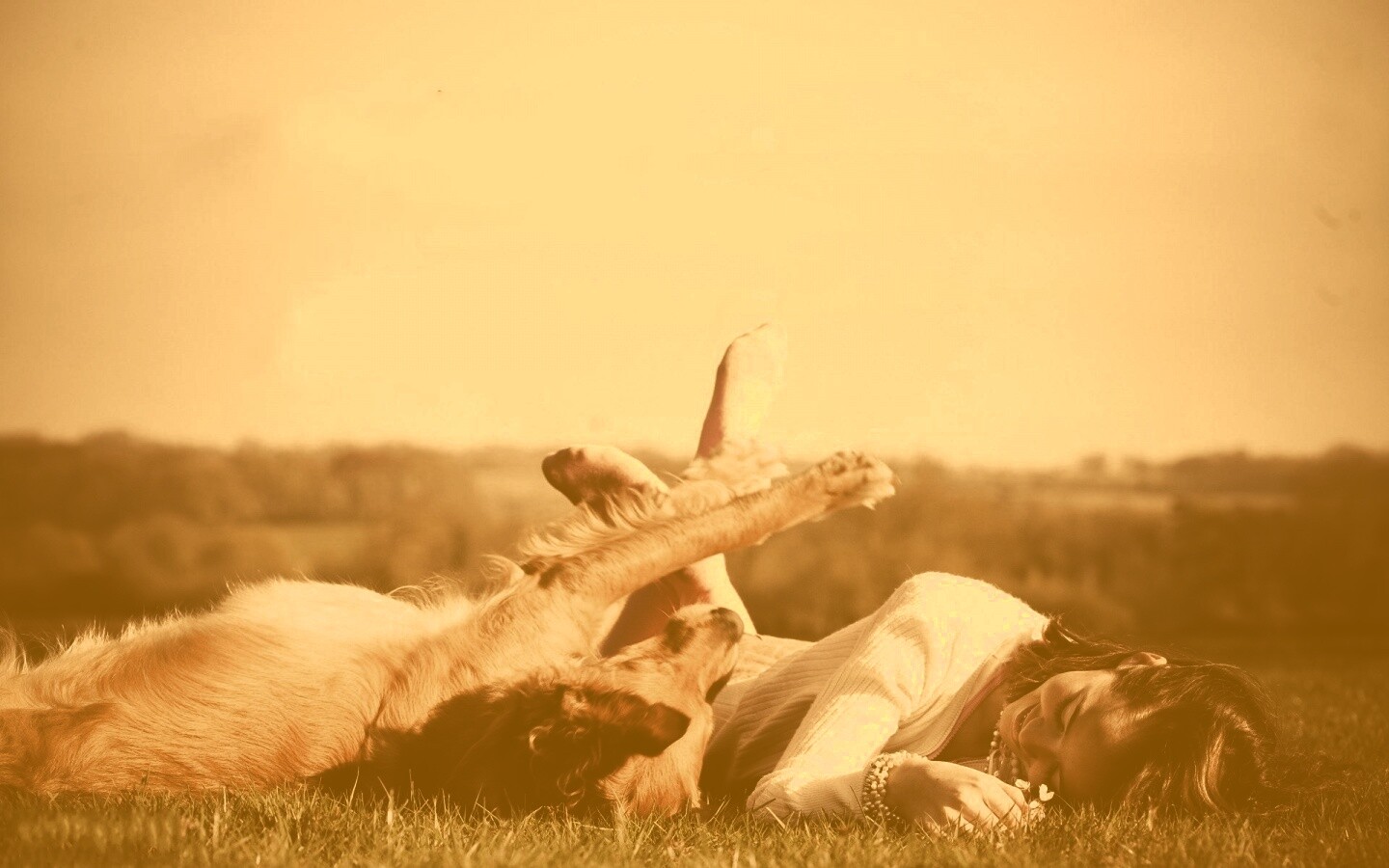 Девушка и собака валяются на траве обои