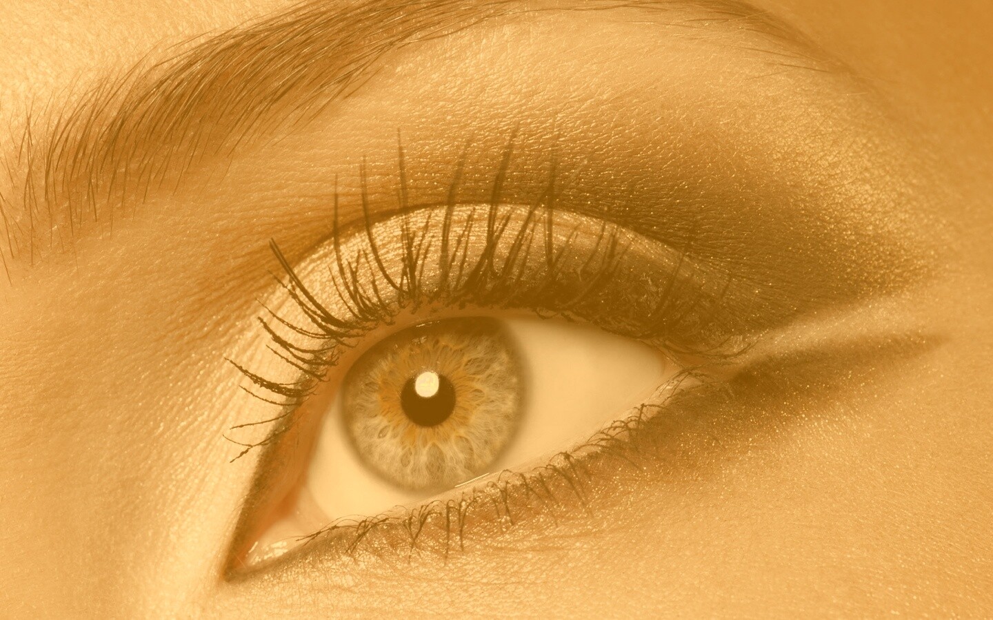 Тушь и тени обои