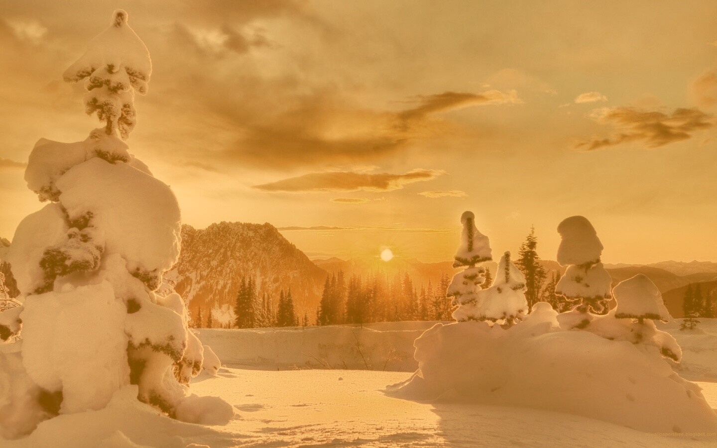 Зимнее солнце обои