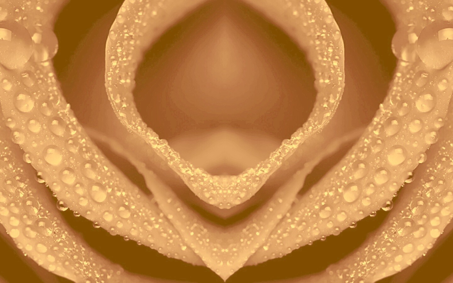 Цветочный зев обои