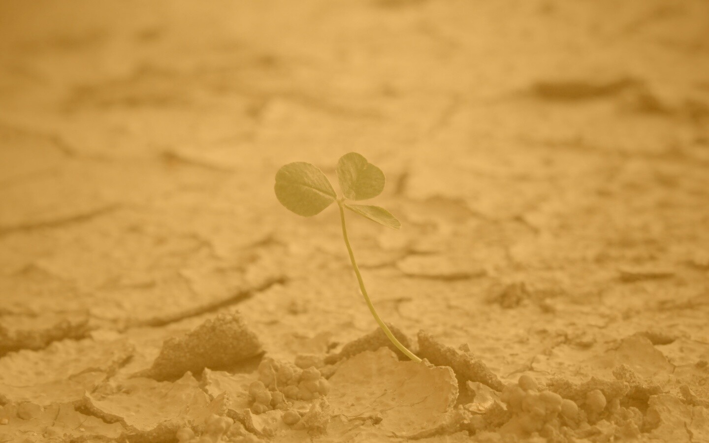 Сила природы обои