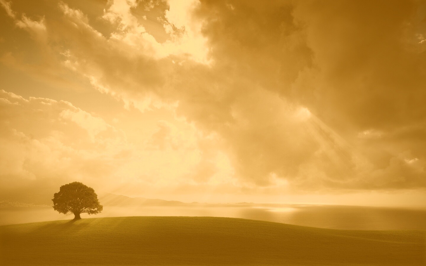 Холм и дерево обои