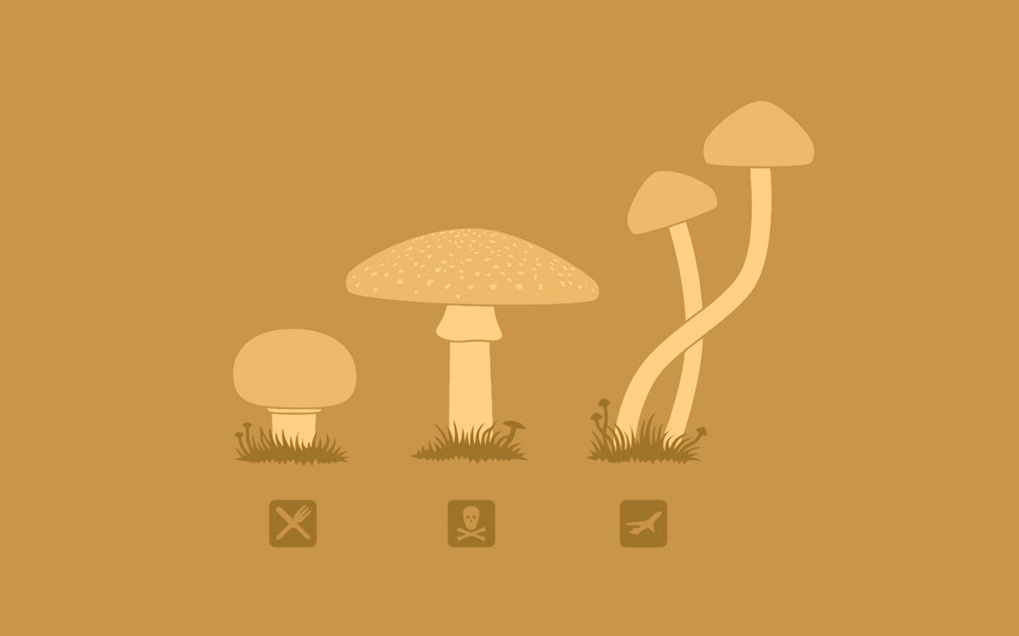 Грибочки обои