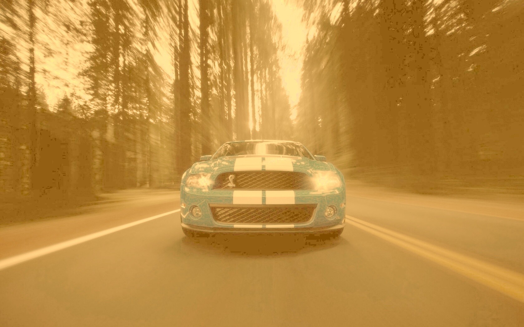 Форд Шелби обои