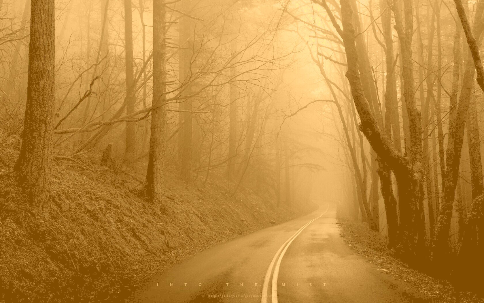 В туман обои