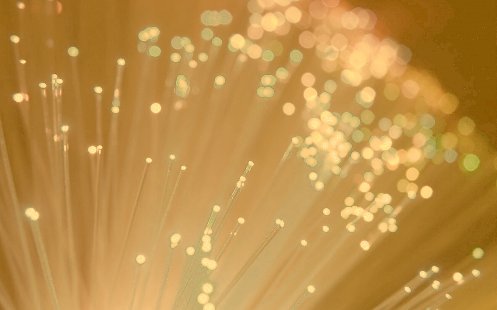 Огоньки на оптоволокне обои