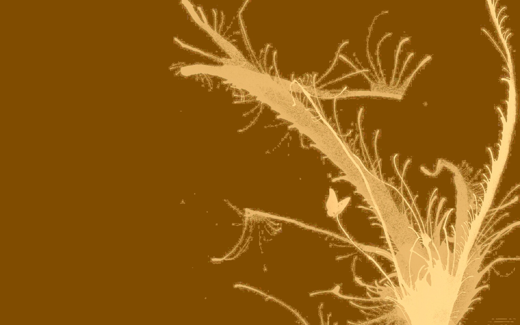 Абстракция из брызг обои