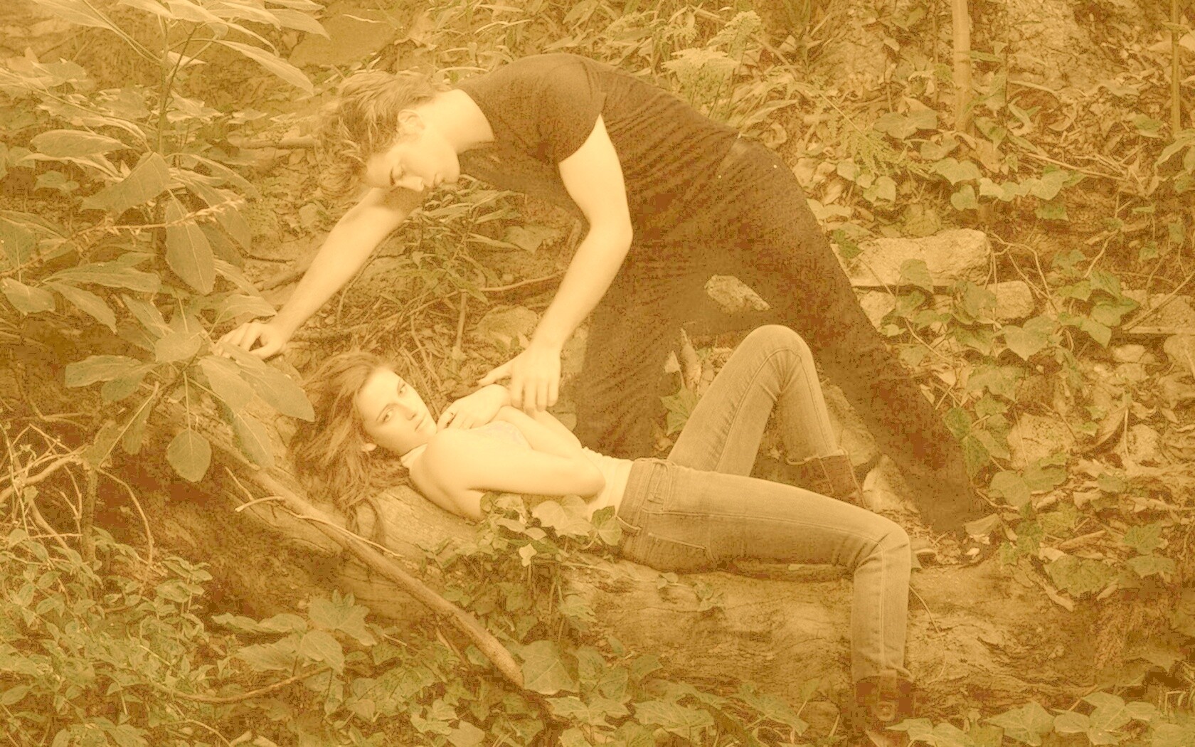 Эдвард и Белла в лесу обои