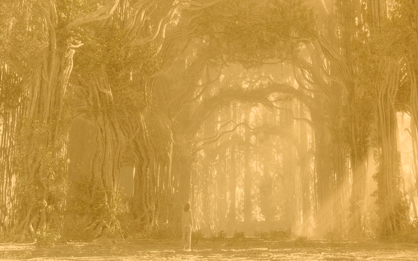 Одна в сумеречном лесу обои