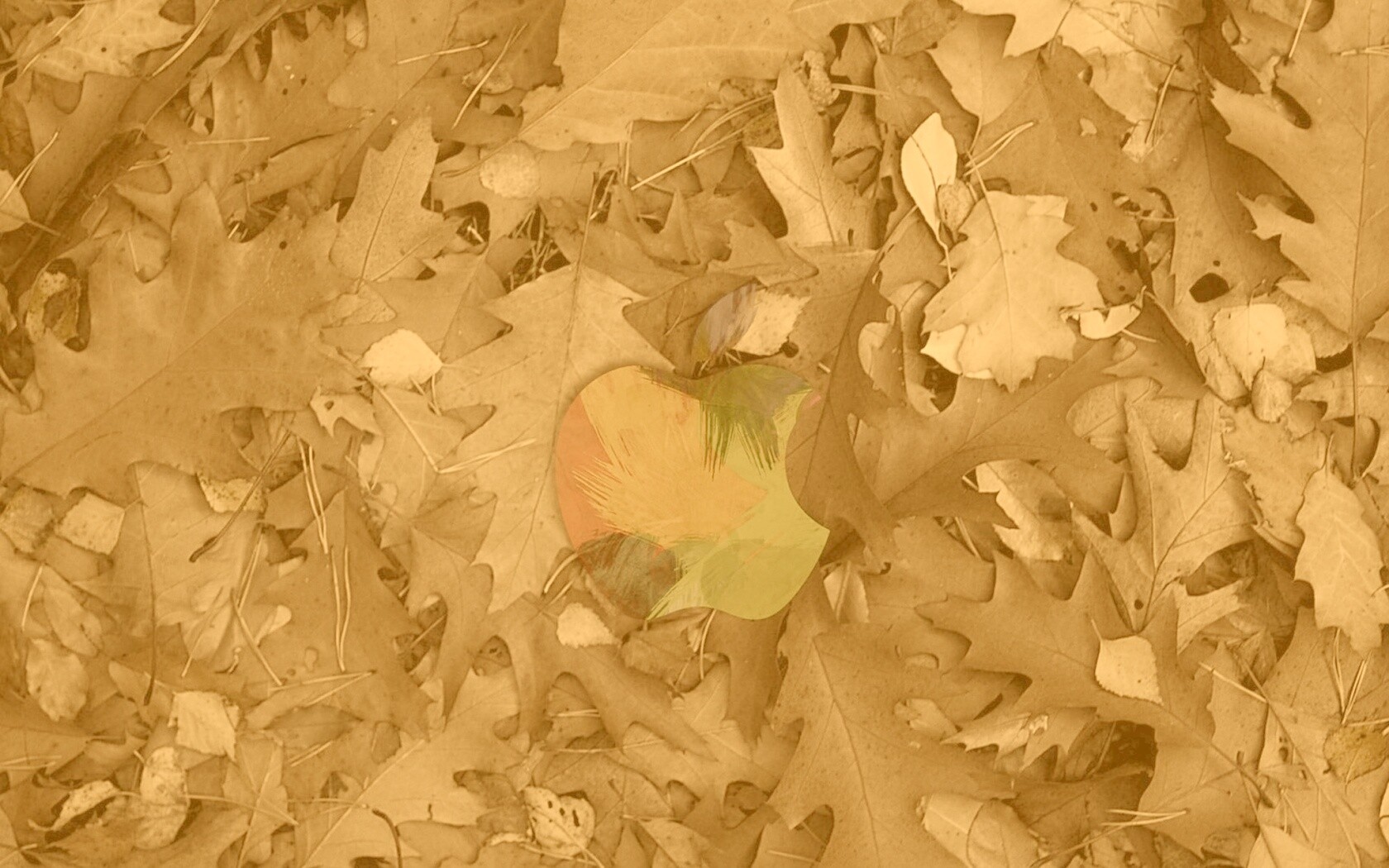 Эпл в сухой листве обои