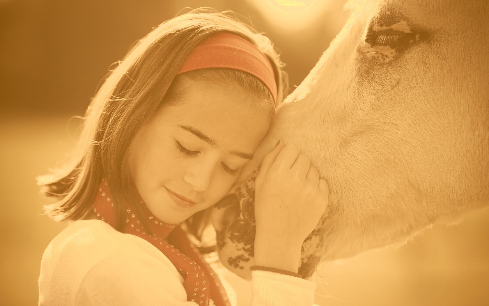 Девочка и лошадь обои