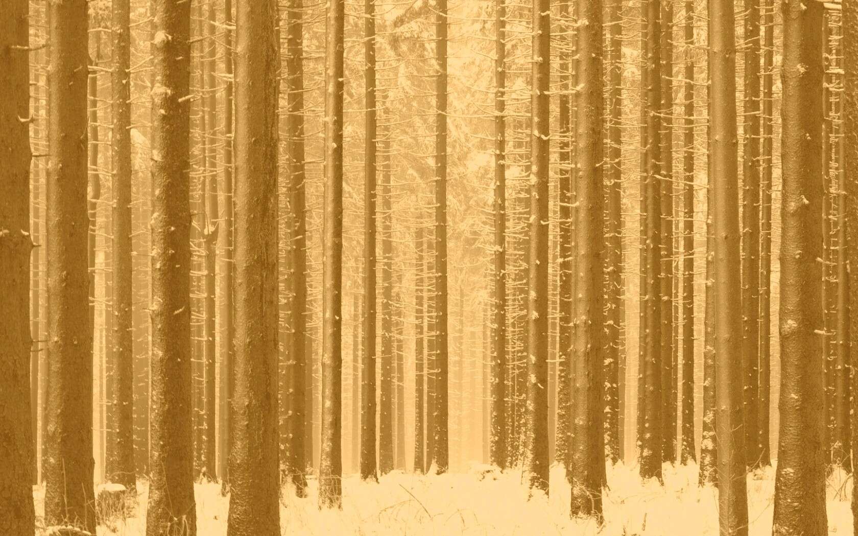 Зимний лес как штрихкод обои