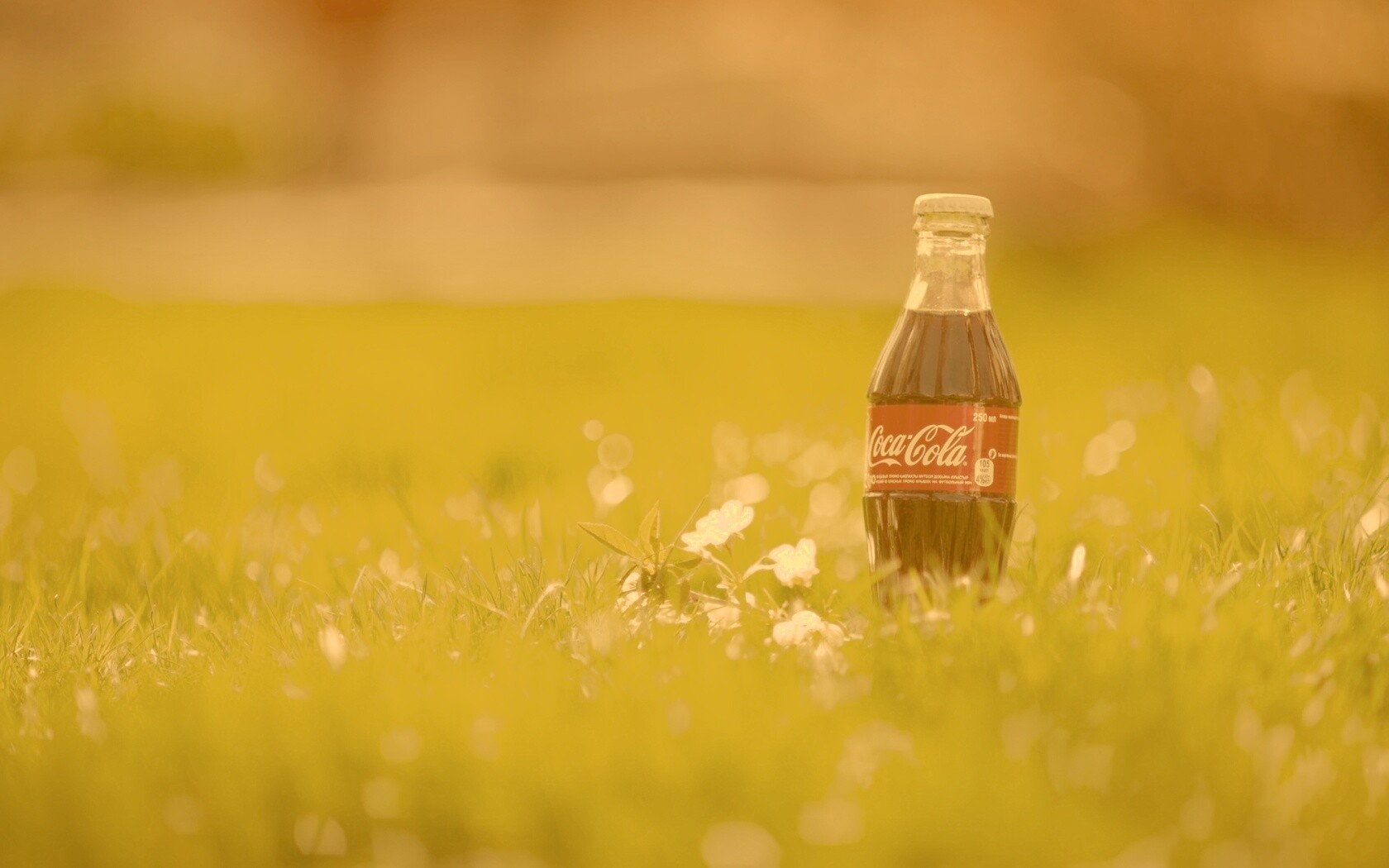Кока-Кола на траве обои