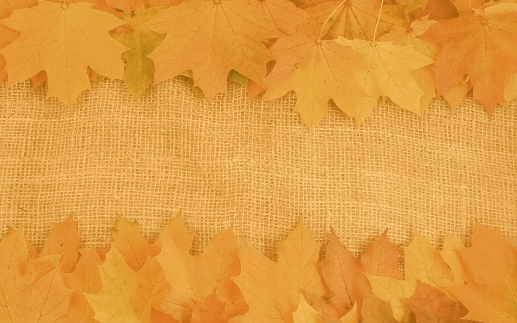 Желтые кленовые листья на холсте обои