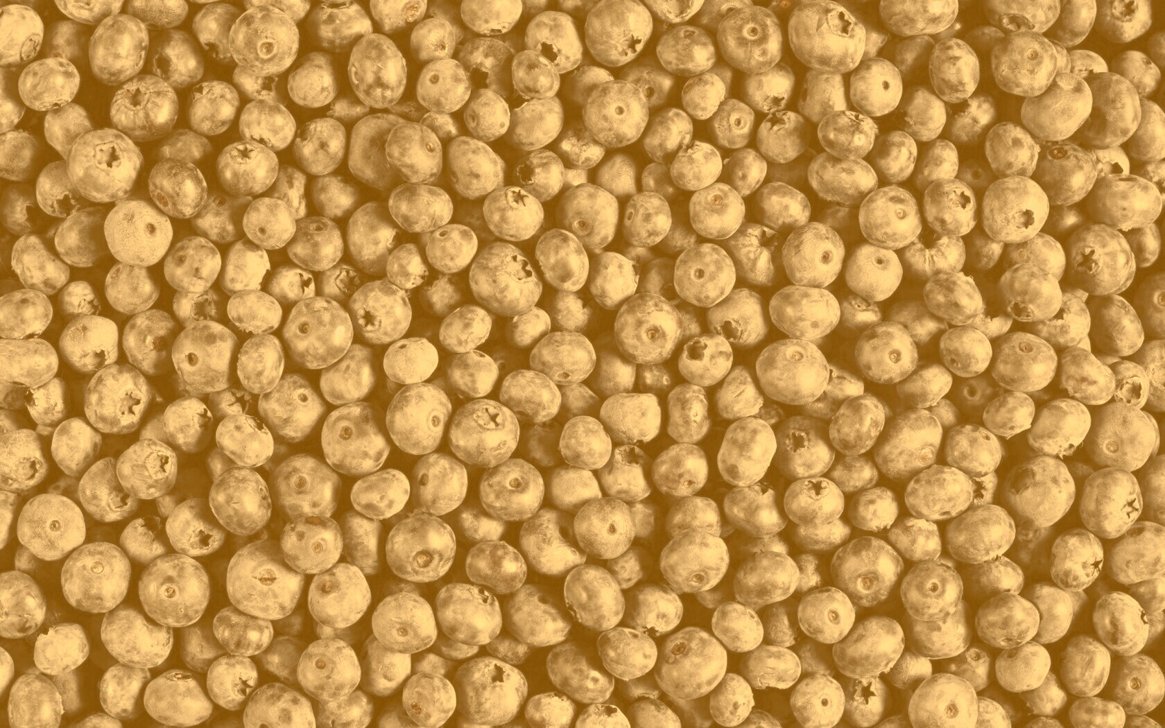 Черника обои