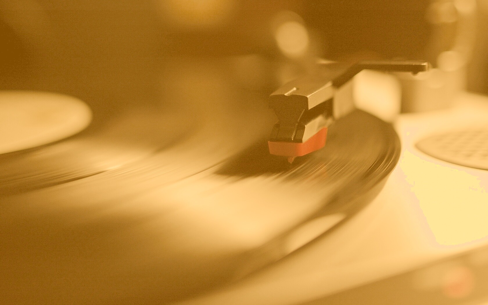 Пластинка обои