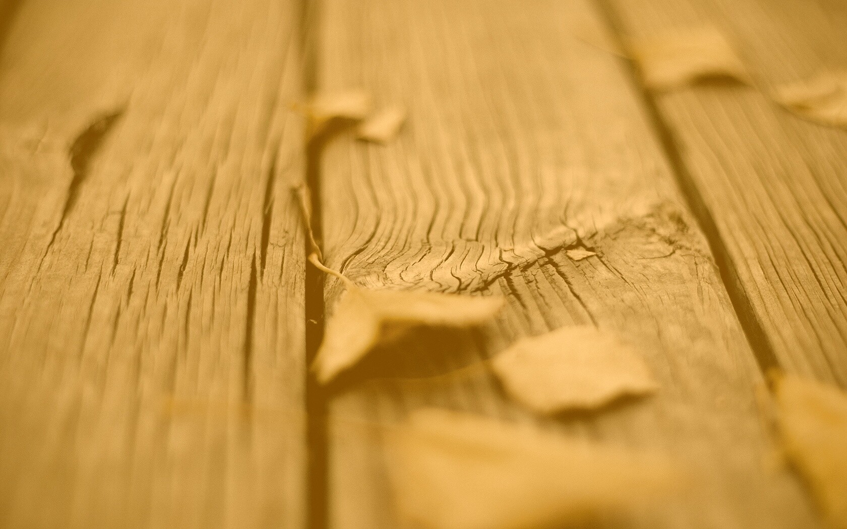 Листья на дощатом полу обои