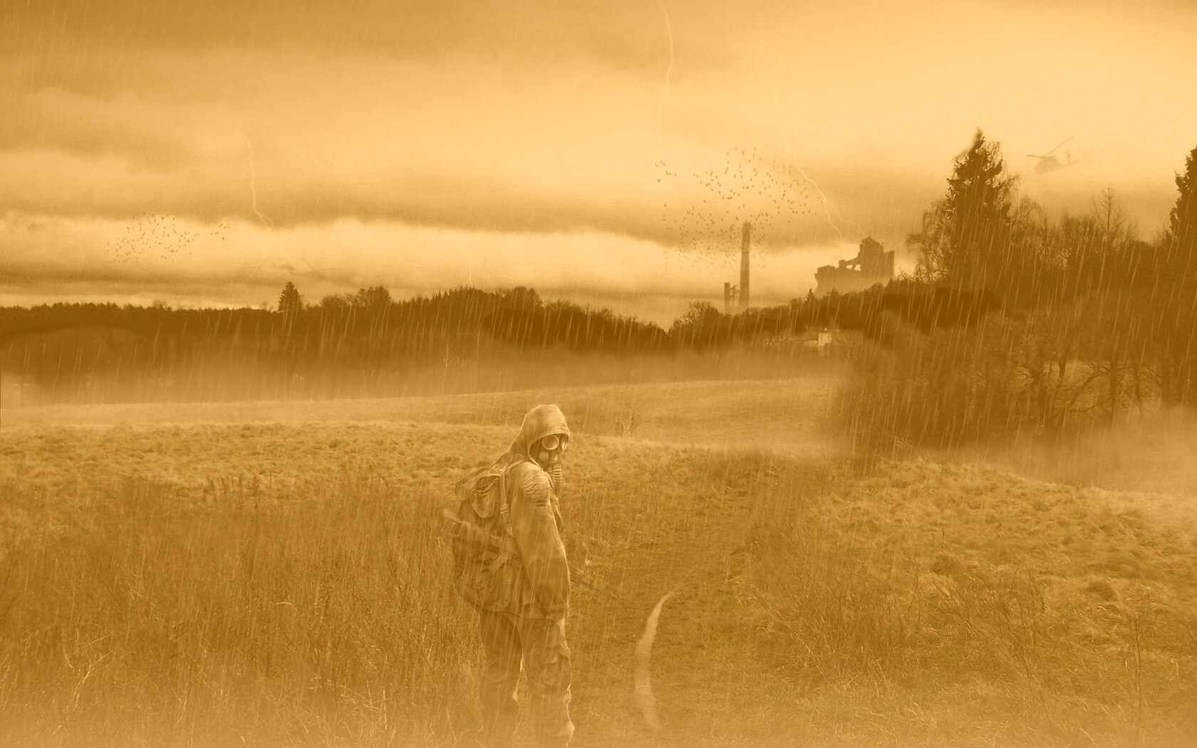 Сталкер под дождем обои