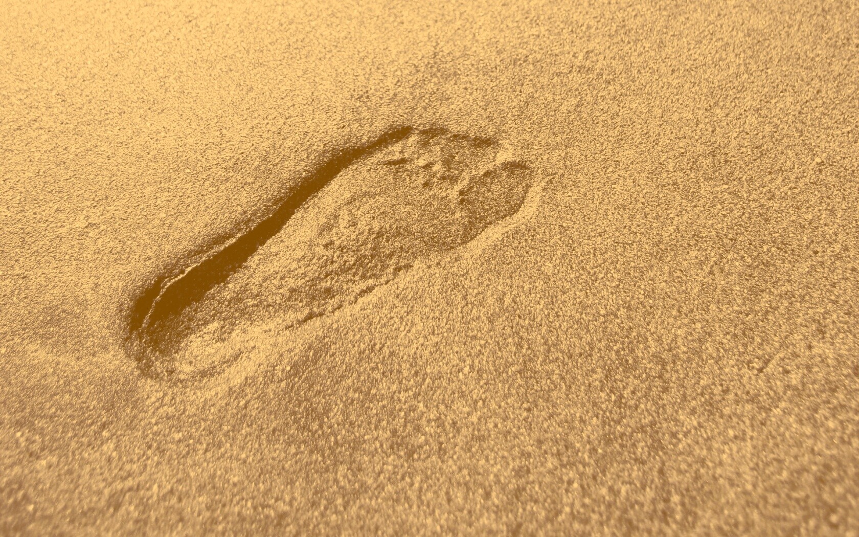 Отпечаток ноги обои