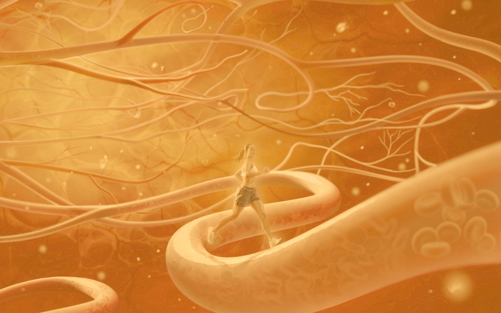 Бег крови обои