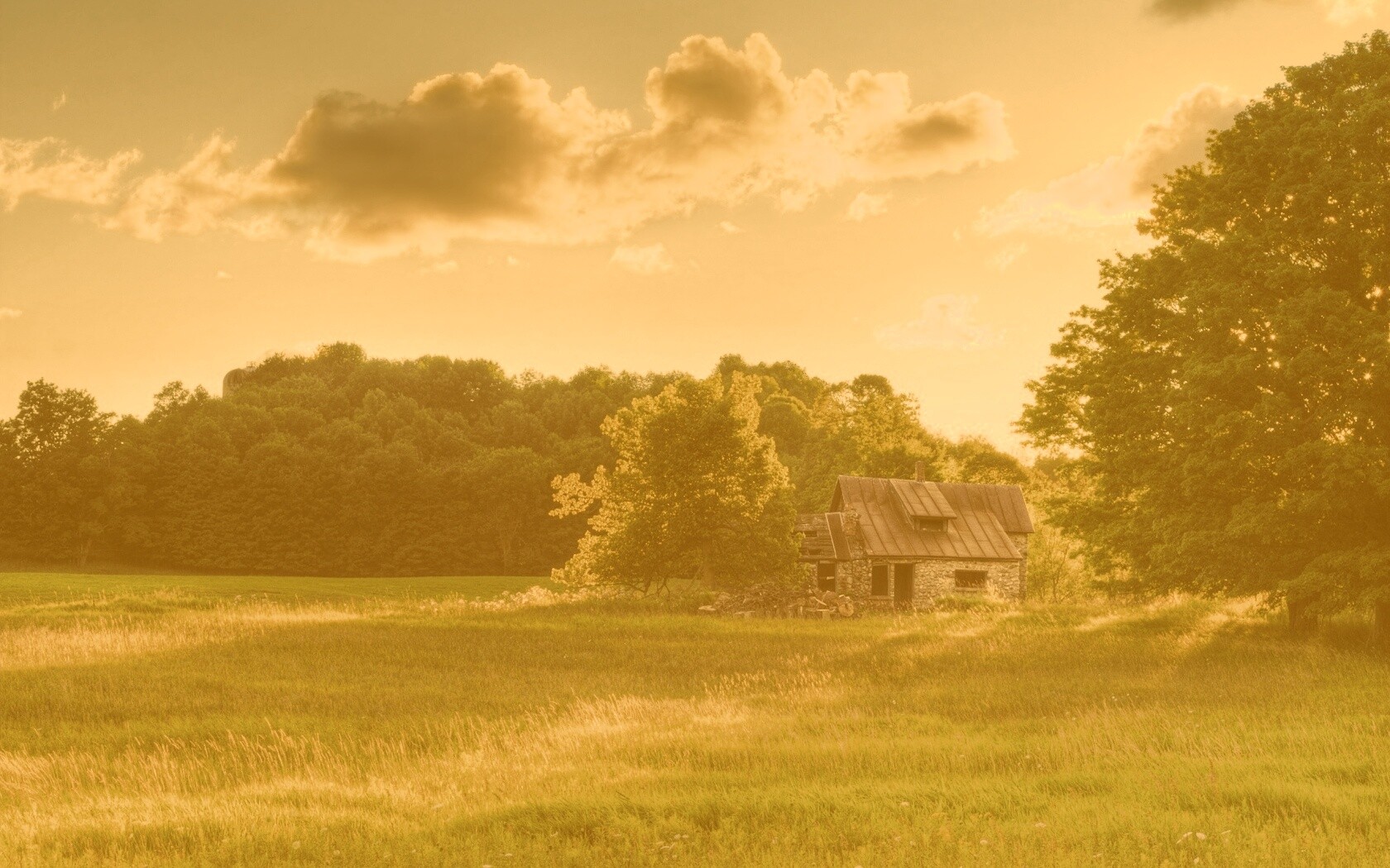 Домик в лесу обои