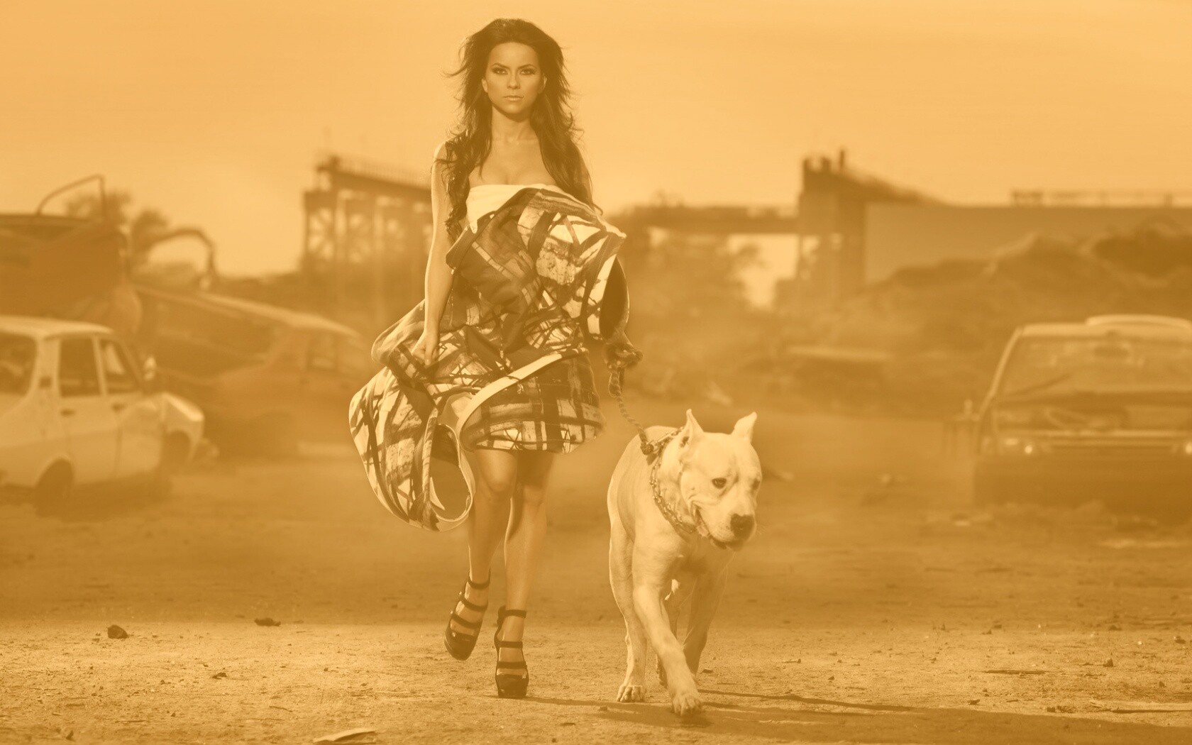 Девушка с питбулем обои