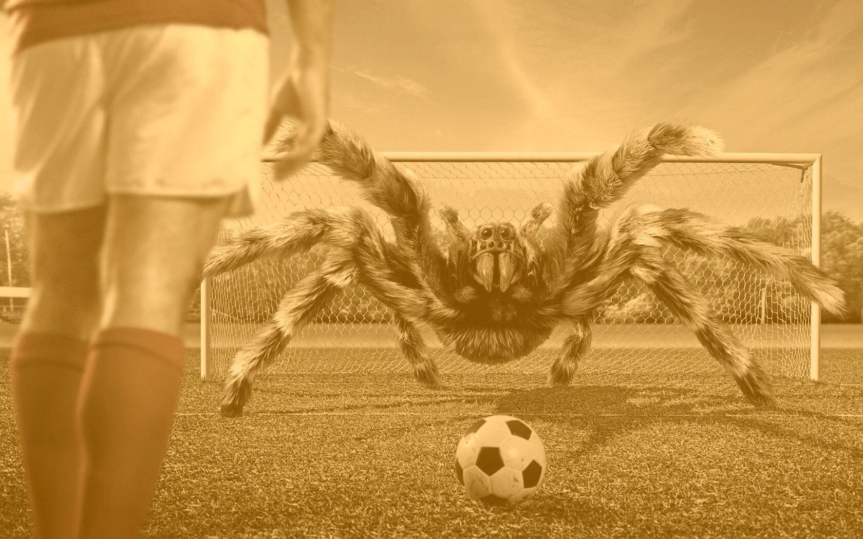 Вратарь обои