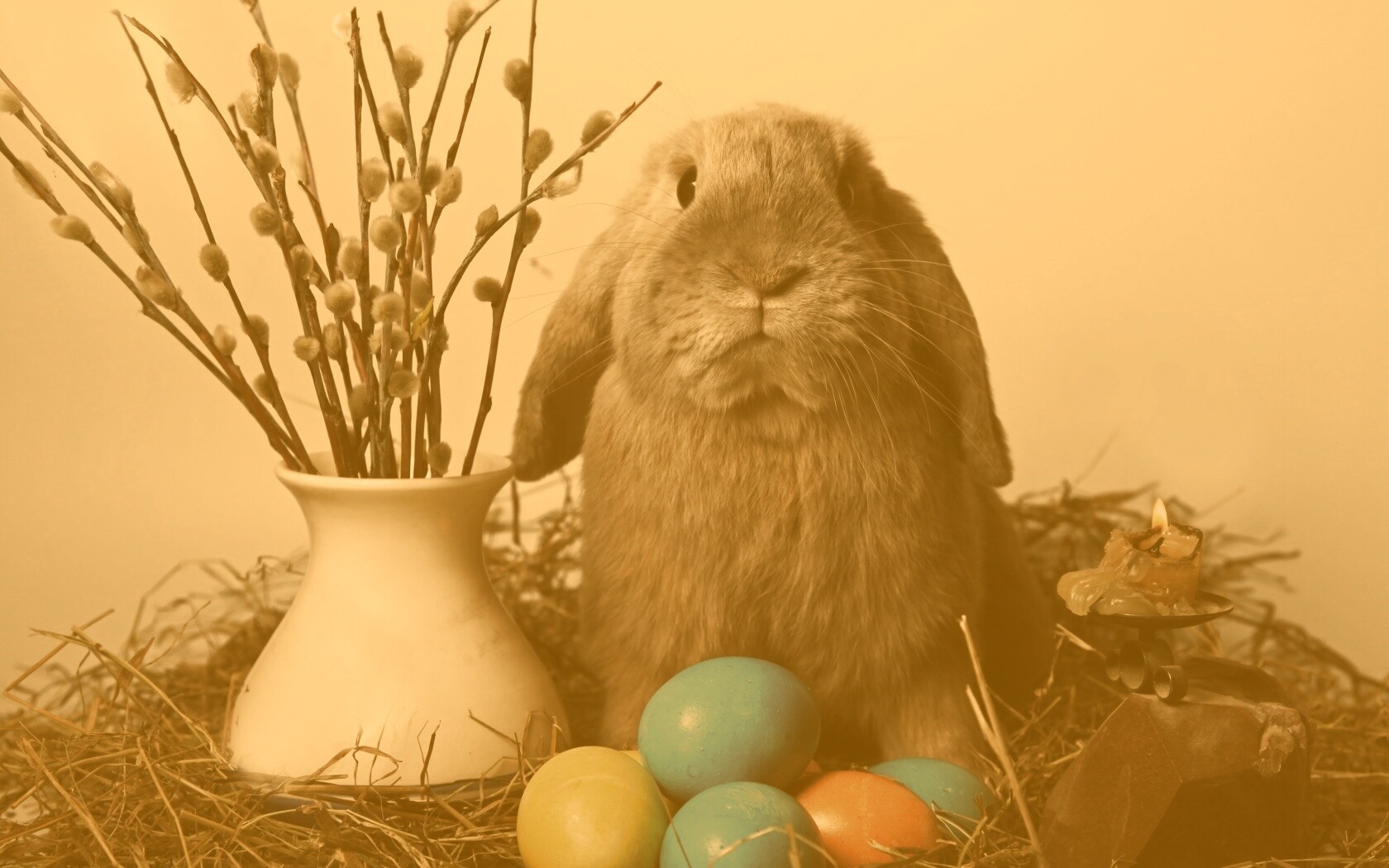 Пасхальный кролик обои