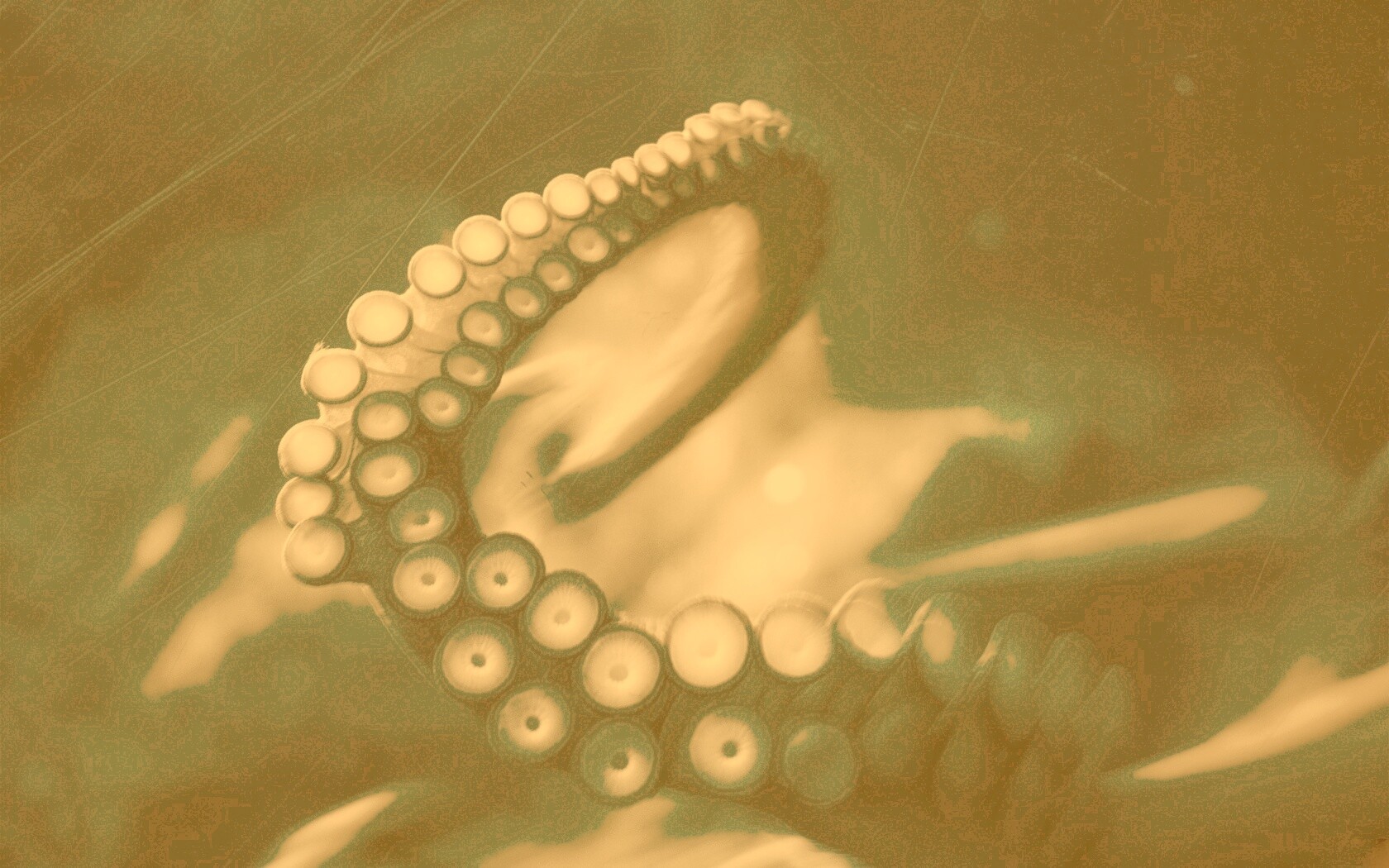 Щупальце обои