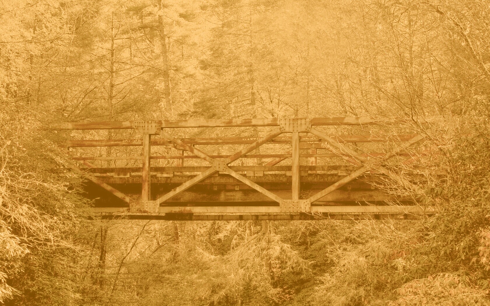 Металлический мост в лесной глуши обои